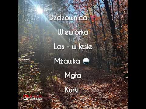 Видео: Осенняя тематика 🍂🍁😊 #польский #урокипольского #polishlanguage