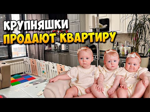 Видео: КРУПНЯШКИ ПРОДАЮТ КВАРТИРУ 🏘 🏘 🏘