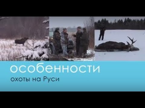 Видео: Загонная охота на Лося (Особенности охоты на Руси) - Беляков Хантинг