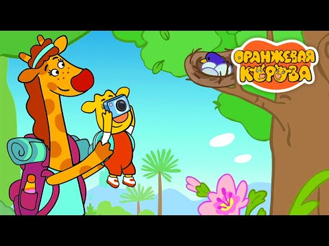 Видео: Оранжевая Корова 213 серия 🐮 Юные натуралисты 🐮 Мультики для детей