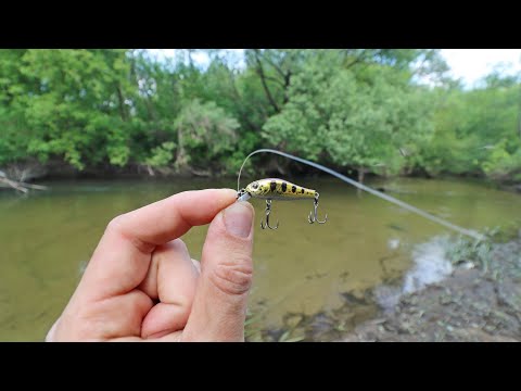 Видео: БЕЗОТКАЗНЫЕ ПРИМАНКИ НА ГОЛАВЛЯ!!! 104% СПОСОБ НАЙТИ РЫБУ С GOOGLE картами!