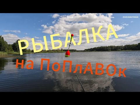 Видео: ЛОВЛЯ НА ПОПЛАВОК С ЛОДКИ