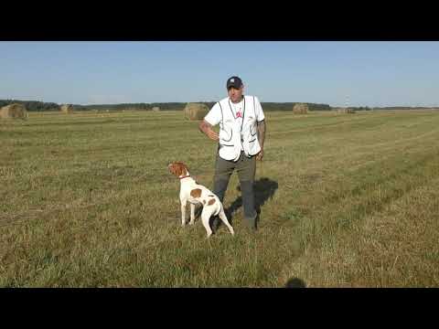 Видео: 8. НАТАСКА ЛЕГАВЫХ / ГОНЬБА часть1