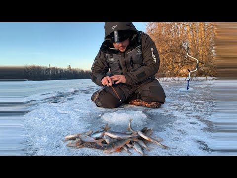 Видео: Безмотылка! Учусь ловить на гвоздешарик