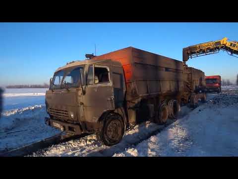 Видео: СВЕКЛА2023 СЕРИЯ-10 ЗАКЛЮЧИТЕЛЬНАЯ ! ГОЛОЛЁД ПО ПОЛЮ