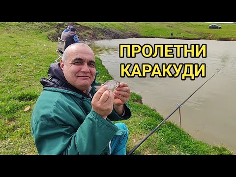 Видео: Риболов на каракуди преди забраната! Рибата кълве основно на бял и торен червей! Freshwater fishing!