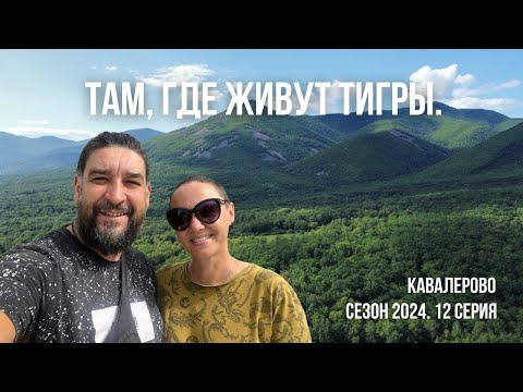 Видео: Там где живут тигры. Кавалерово сезон 2024. 12 серия