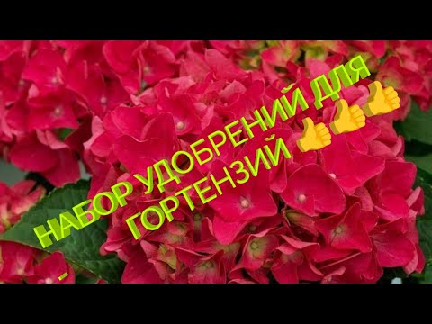 Видео: СХЕМА ПОДКОРМОК  ГОРТЕНЗИЙ👍 НАБОР УДОБРЕНИЙ