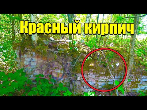 Видео: Шурф старого фундамента. Коп 2023