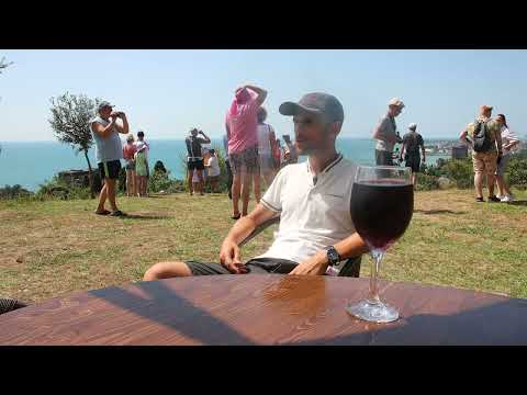 Видео: Чай и вино. Состояния от чая и вина, в чем разница.