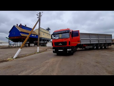 Видео: Будни зерновозов,   погрузка, разгрузка, подгон веса к норме. Уборочная компания. МаЗ