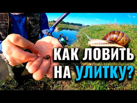 Видео: Ловля на улитку: как проходит такая рыбалка и что нужно знать?