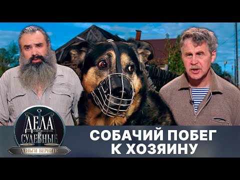 Видео: Дела судебные с Дмитрием Агрисом. Деньги верните! Эфир от 11.03.25
