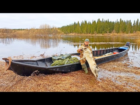 Видео: МЕСТО ЗДЕСЬ ЗАКОЛДОВАННОЕ / ЗАБИРАЮ ПАЛАТКУ. ПЕРЕЕЗЖАЮ НА ДРУГУЮ ТОЧКУ / ОХОТА НА ВОДОПЛАВАЮЩУЮ ДИЧЬ