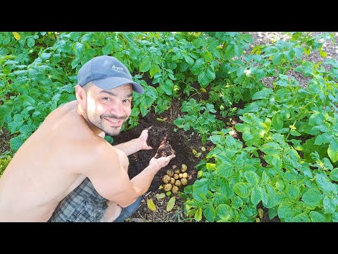 Видео: САМ НА СЕЛО: Цената на щастието I Живот на село