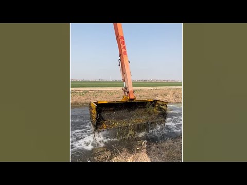 Видео: JCB поймал рыбу 🐠🐟 из реки [141]