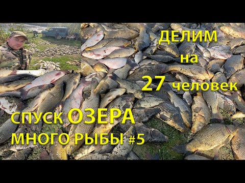 Видео: СПУСК ОЗЕРА =ДЕЛЁЖКА на 27 ЧЕЛОВЕК= МНОГО РЫБЫ (5 серия)