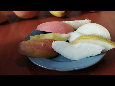 Видео: Дегустационная оценка двух сортов груш и яблок