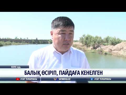 Видео: 04 08 2022 БАЛЫҚ ӨСІРІП, ПАЙДАҒА КЕНЕЛГЕН