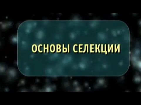 Видео: Основы селекции. Биология