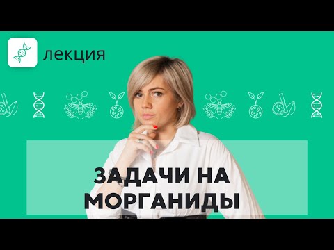 Видео: Вспомним МОРГАНА! Как решать ЗАДАЧИ с МОРГАНИДАМИ? | Подготовка к ЕГЭ 2023 по БИОЛОГИИ