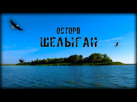 Видео: ОСТРОВ ШЕЛЫГАН: тайный уголок под Волгоградом, куда редко ступает нога человека #Походныемысли