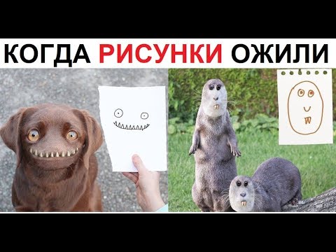 Видео: Лютые приколы. Когда рисунки ожили