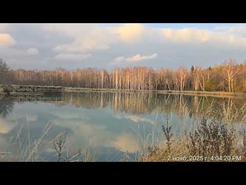 Видео: 2 ноября 2025 г.