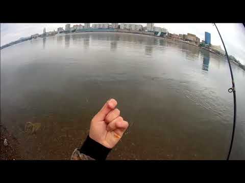 Видео: 12/06/2018 Рыбалка на Хариуса в городе