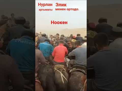 Видео: 6 ноября 2025 г.