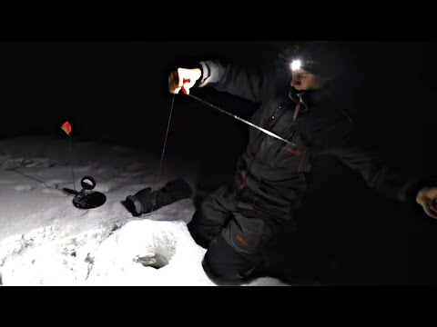 Видео: ПОД ЭТИМ ОБРЫВОМ ЖИВУТ ЗДОРОВЫЕ РЫБИНЫ! Рыбалка с ночевкой в палатке