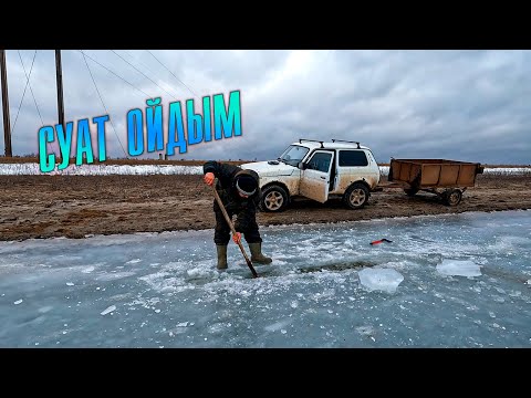 Видео: Жылқыларға суат ойдым. Айғыр бойка арғы бетке өтіп кетіпті | Қалай жылқыларға суатты жасауға болады
