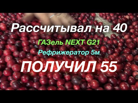 Видео: Впереди зима Кострома не отпускает ГАЗель NEXT G 2,5 Рефрижератор 5 м