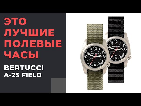 Видео: ЛУЧШИЕ ПОЛЕВЫЕ ЧАСЫ! BERTUCCI A-2S FIELD. Всего $100!