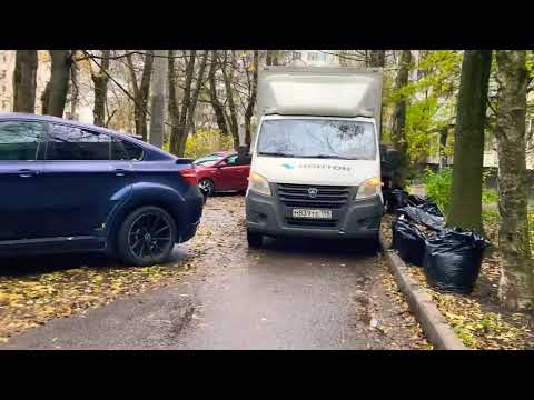 Видео: Всем доброго и прекрасного дня и отличного позитивного настроения море улыбок 29.10.+8