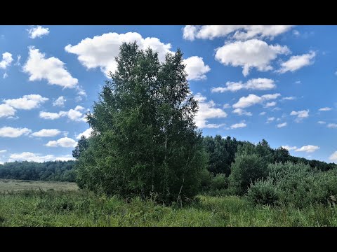 Видео: Караганда: Керней - Корнеевка, столыпинское наследие