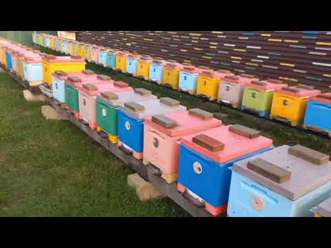 Видео: Контроль Расхода Кормов за Осень!!!