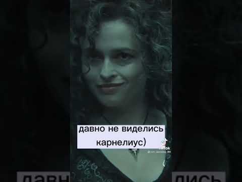 Видео: гарри поттер в тик ток