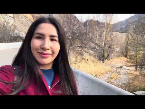 Видео: Бір күн менімен| Таңғы ас, ПП, Медеу және мотивация.