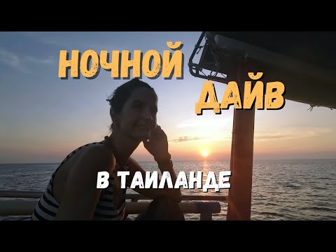 Видео: Ночной дайвинг в Таиланде на острове Ко Тао