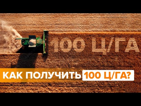 Видео: Как получить 100 Ц/ГА?