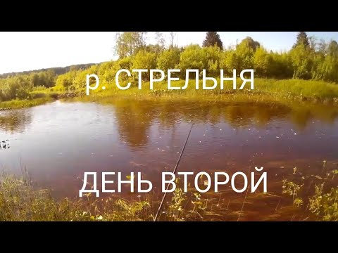 Видео: р. Стрельня. Второй день. Рыбалка на малых речках.#16