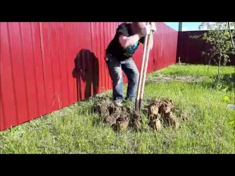 Видео: Инструмент для копки ям не бур