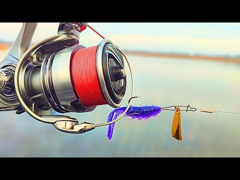 Видео: Ця ПРИМАНКА Зробила мою РИБАЛКУ, Рибалка на хижака