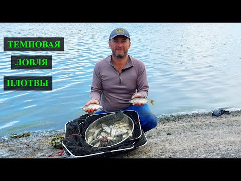 Видео: Темповая ловля плотвы. Набережная КВХ г. Вышгород. Рыбалка на фидер.