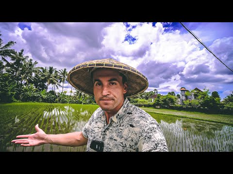 Видео: Ако Искаш да Правиш Много Пари по Време на Криза Гледай Това Видео