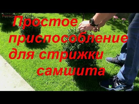 Видео: Шар из самшита это просто !