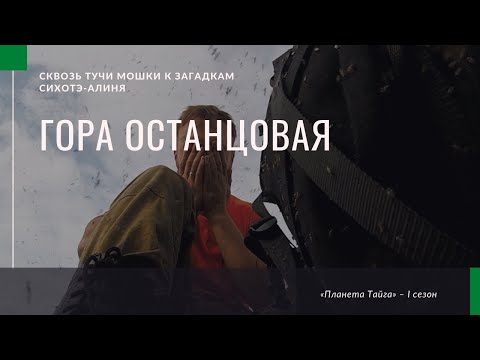 Видео: «Гора Останцовая» / Сквозь тучи мошки к загадкам Сихотэ-Алиня