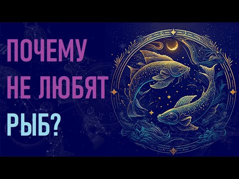 Видео: Почему не любят РЫБ?
