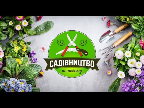 Видео: 🌳 Свій гарний плодовий сад ▶ Садівництво по-новому 1 Серія ▶ 6cоток